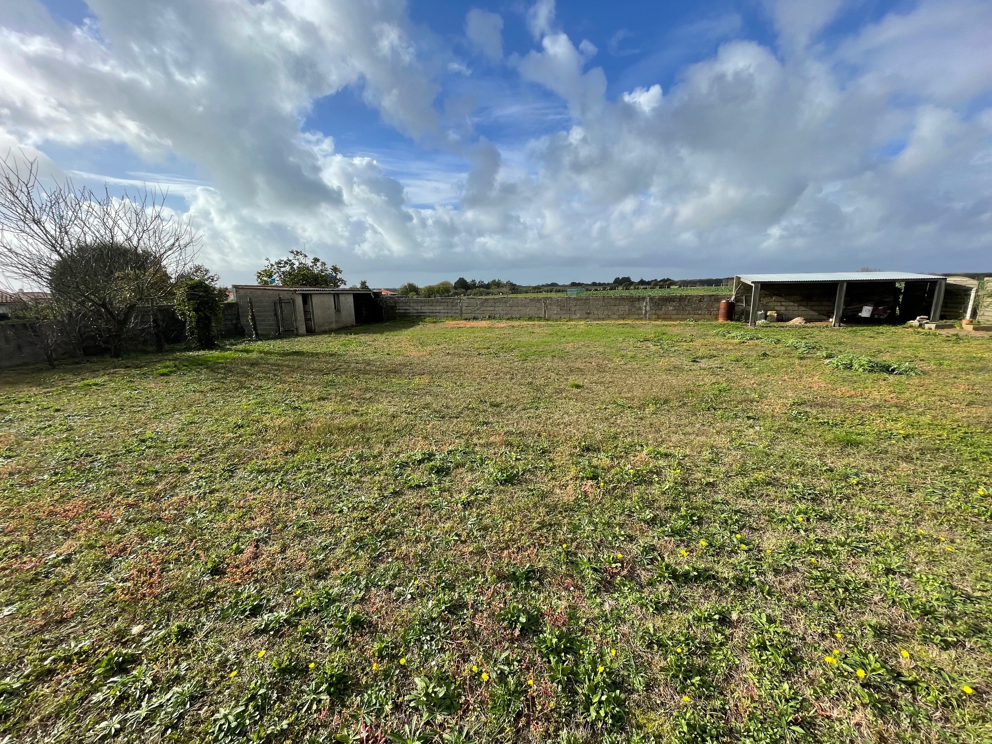 Vente Terrain à Talmont-Saint-Hilaire 0 pièce