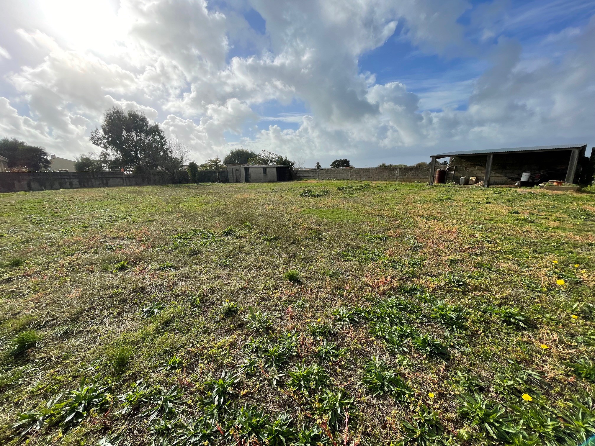 Vente Terrain à Talmont-Saint-Hilaire 0 pièce