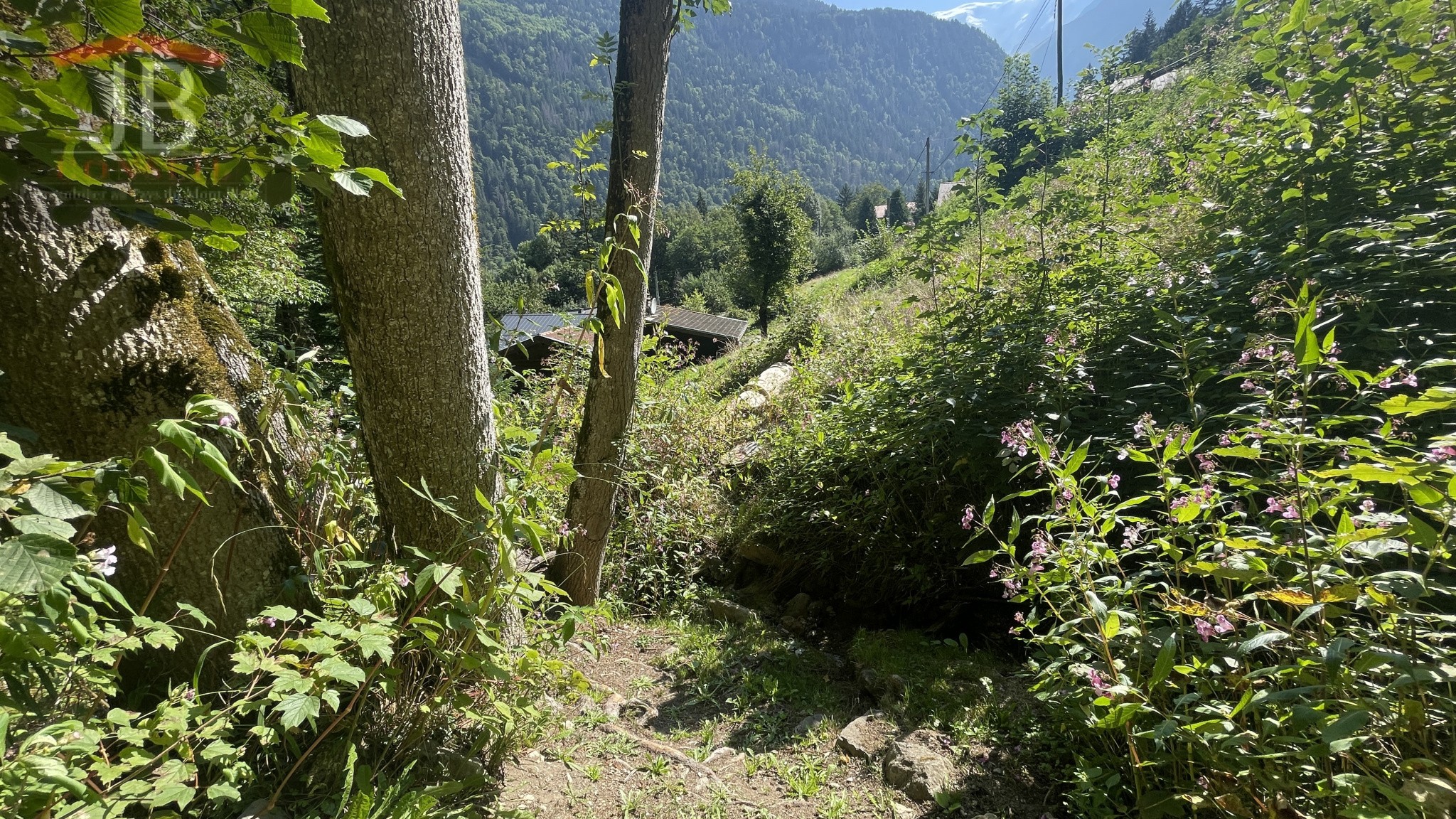 Vente Terrain à Saint-Gervais-les-Bains 0 pièce