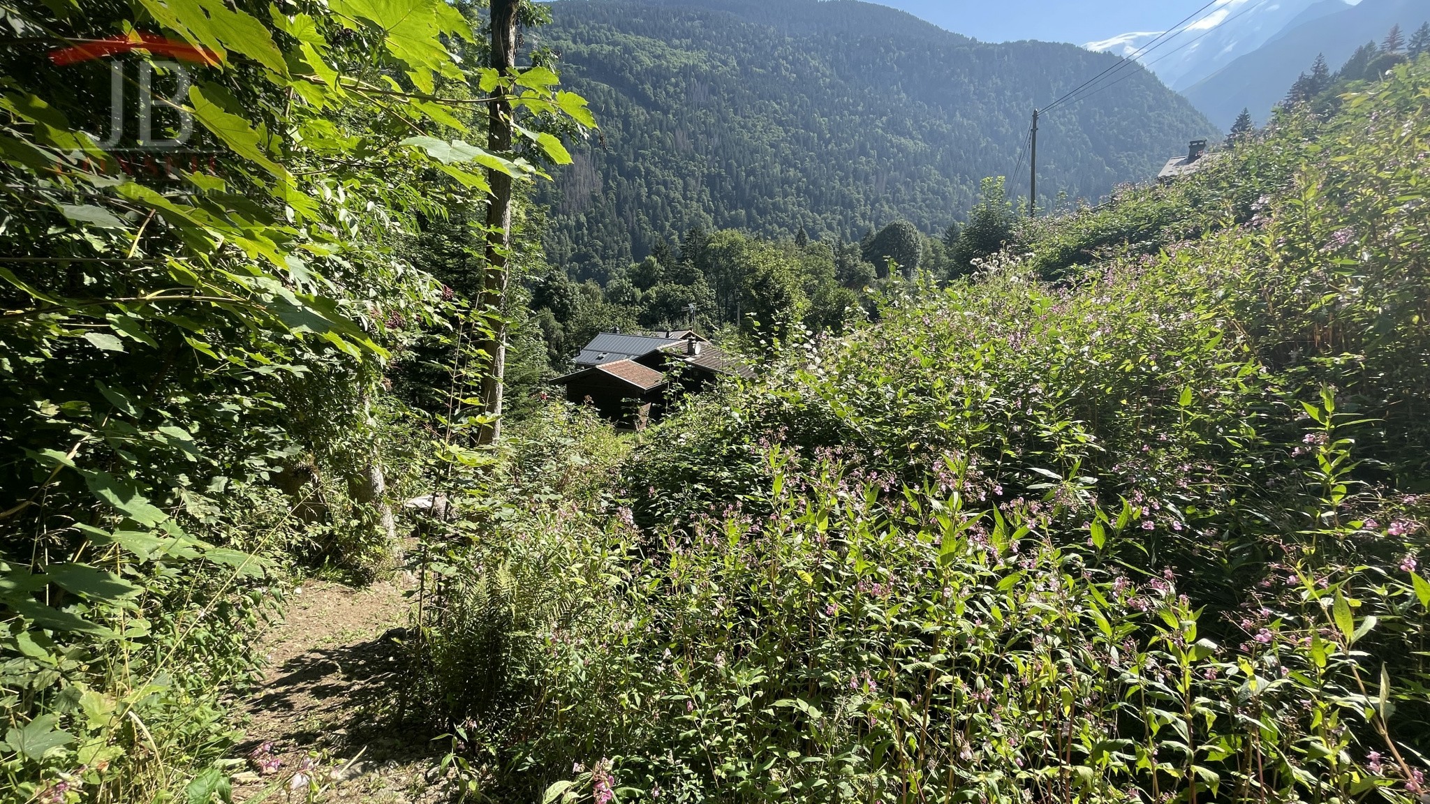 Vente Terrain à Saint-Gervais-les-Bains 0 pièce