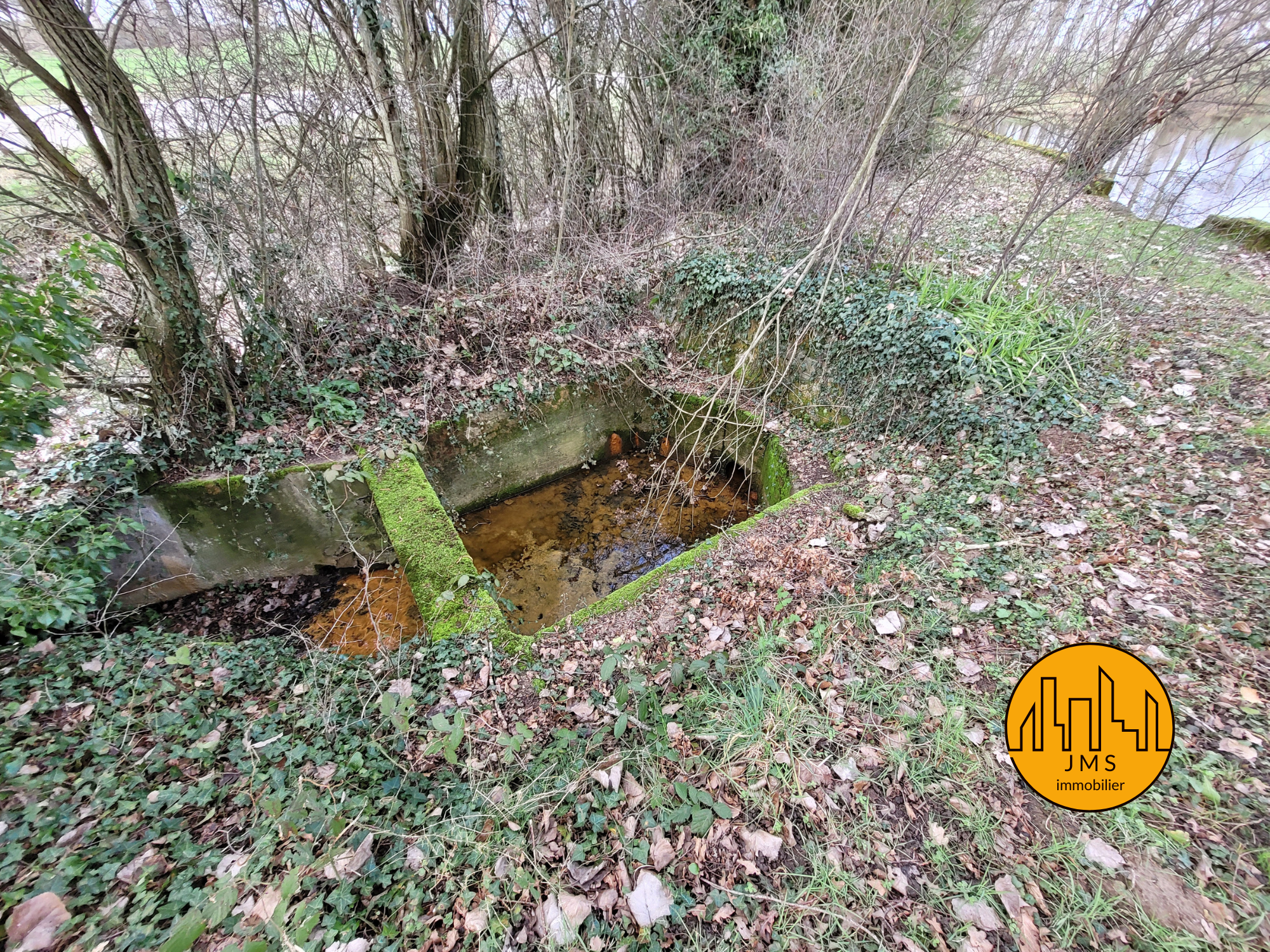 Vente Terrain à Saint-Sornin 0 pièce