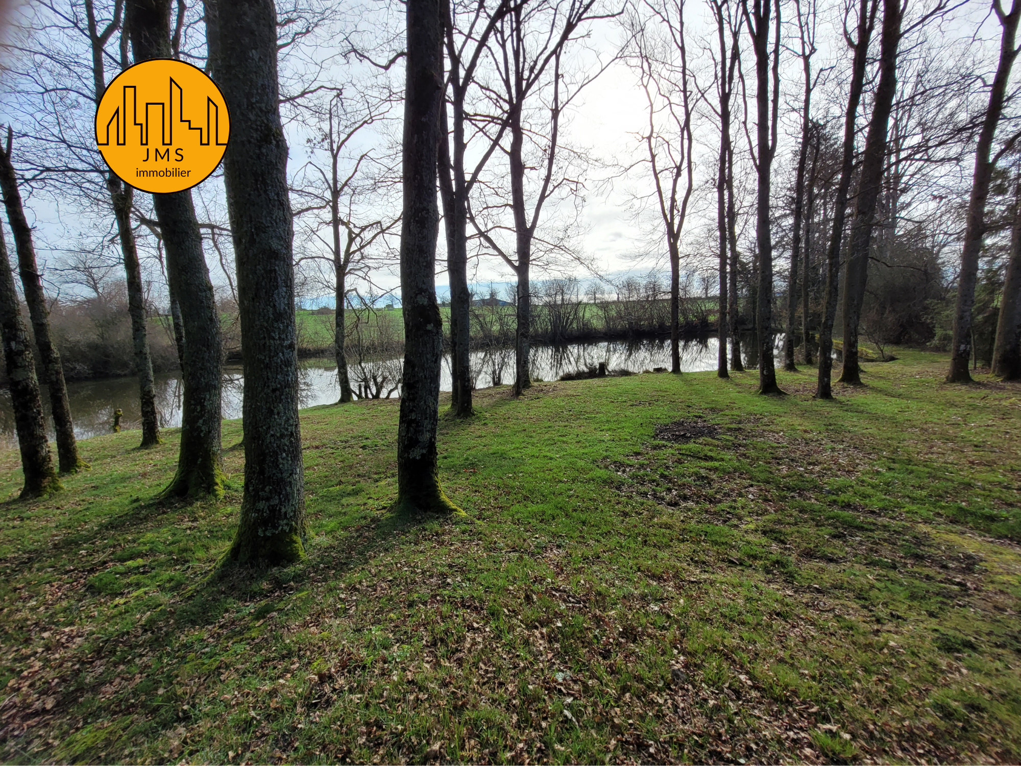 Vente Terrain à Saint-Sornin 0 pièce