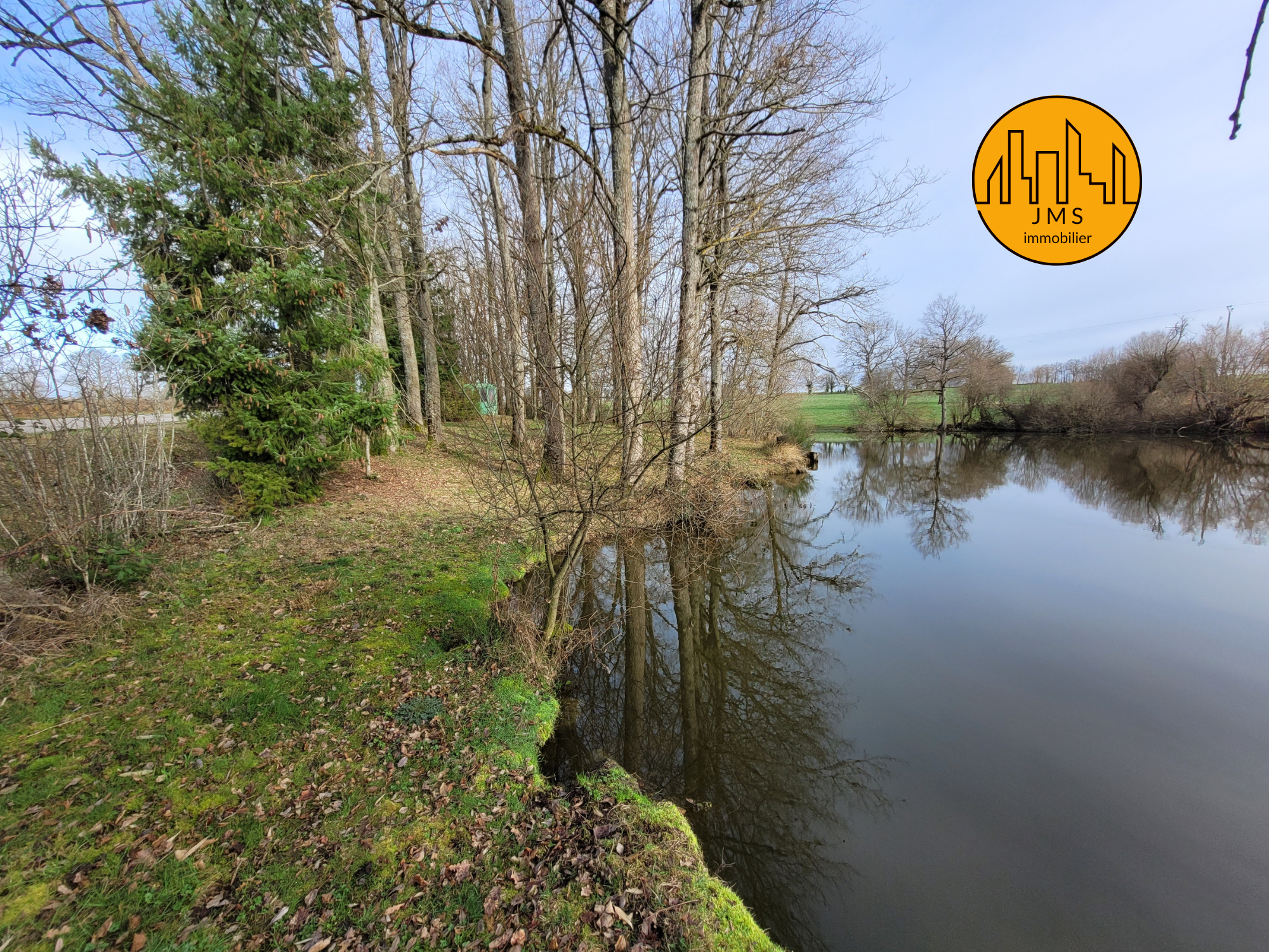 Vente Terrain à Saint-Sornin 0 pièce