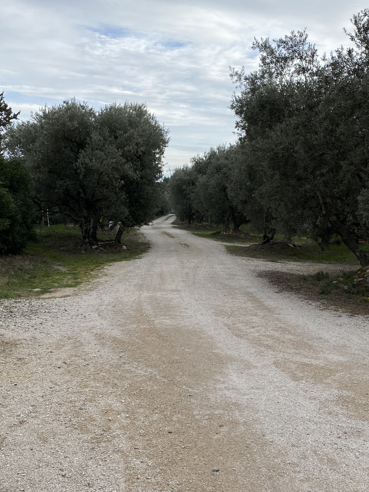 Vente Maison à Châteauneuf-de-Gadagne 4 pièces