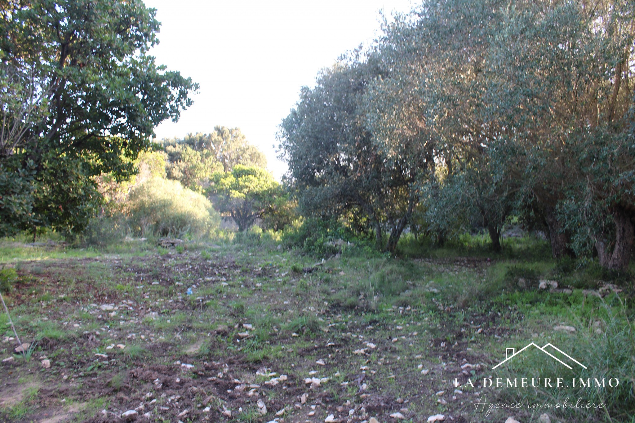 Vente Maison à Bonifacio 3 pièces