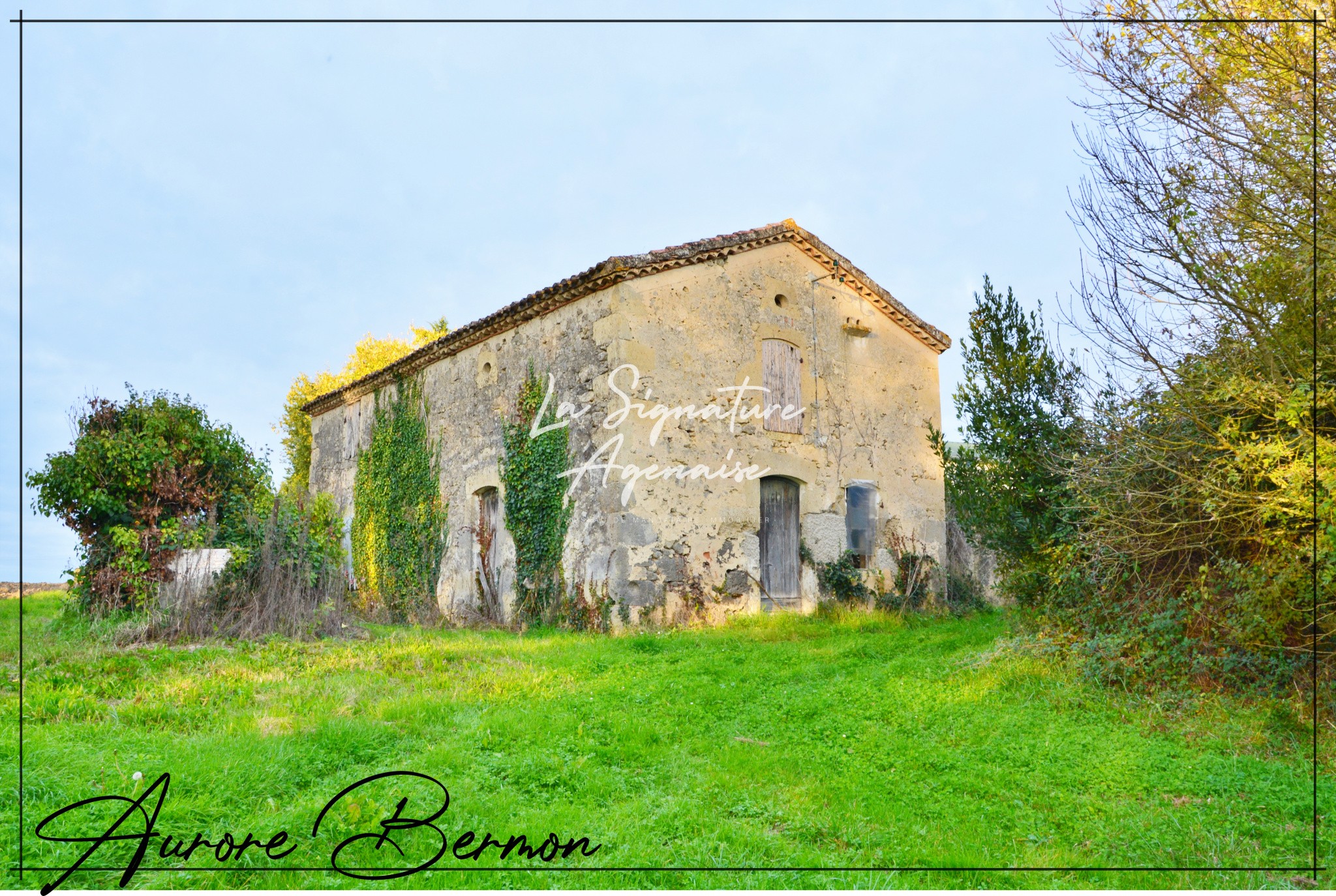 Vente Maison à Nérac 8 pièces