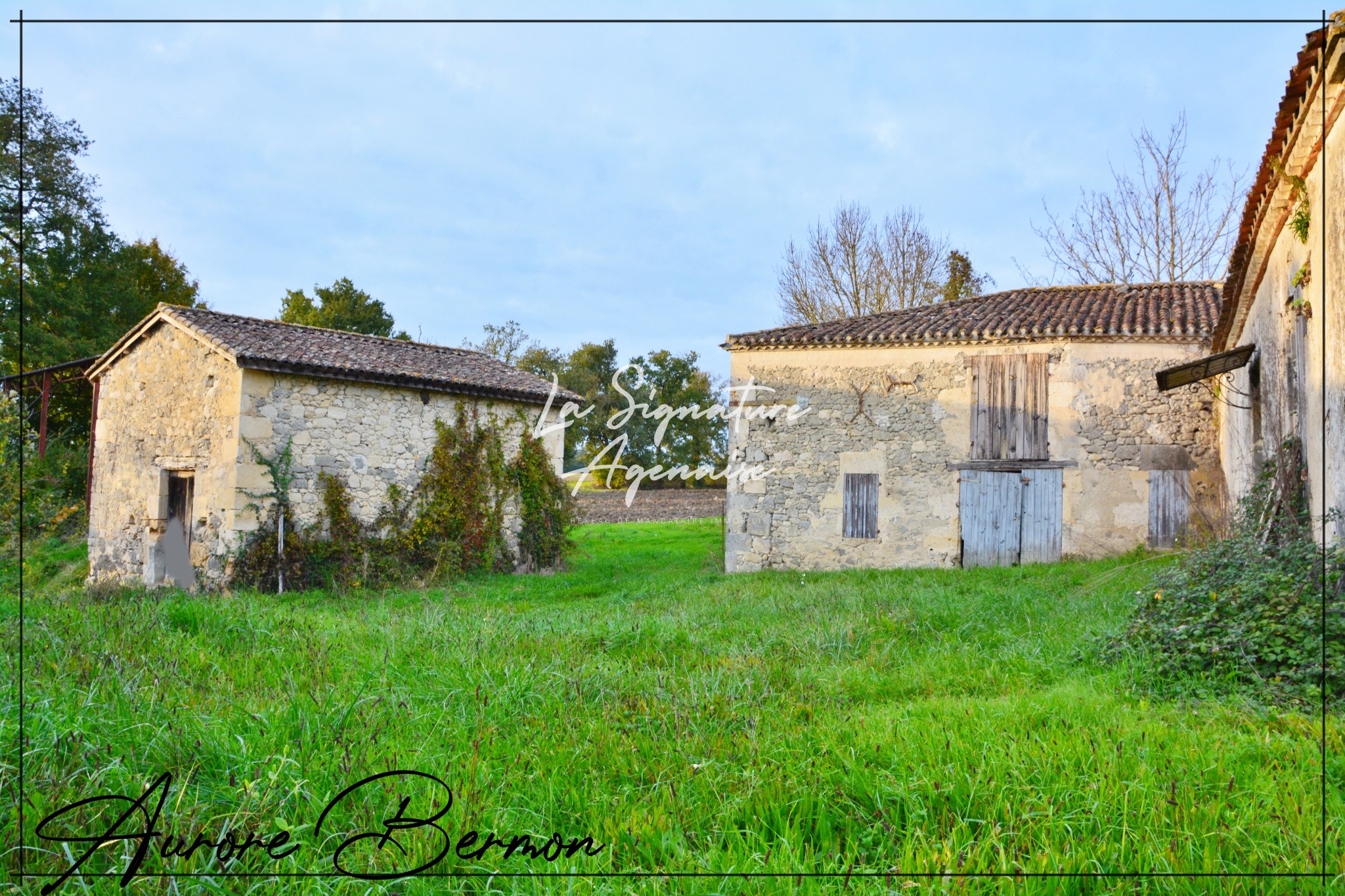 Vente Maison à Nérac 8 pièces