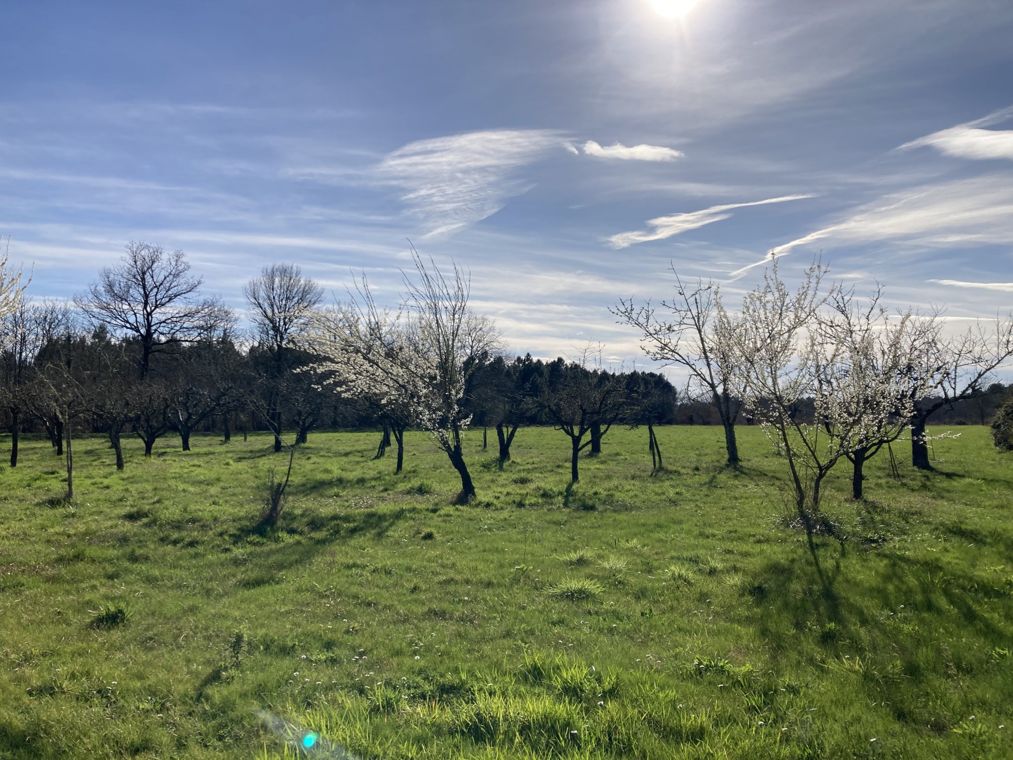 Vente Maison à Bazas 6 pièces