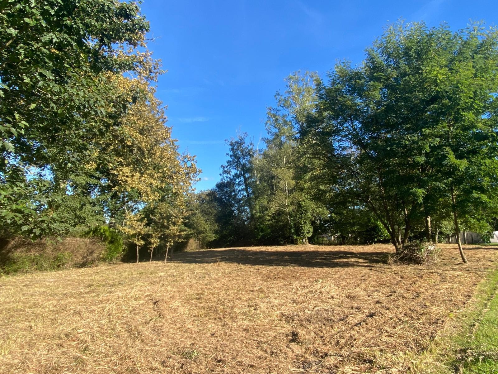 Vente Terrain à Bazas 0 pièce