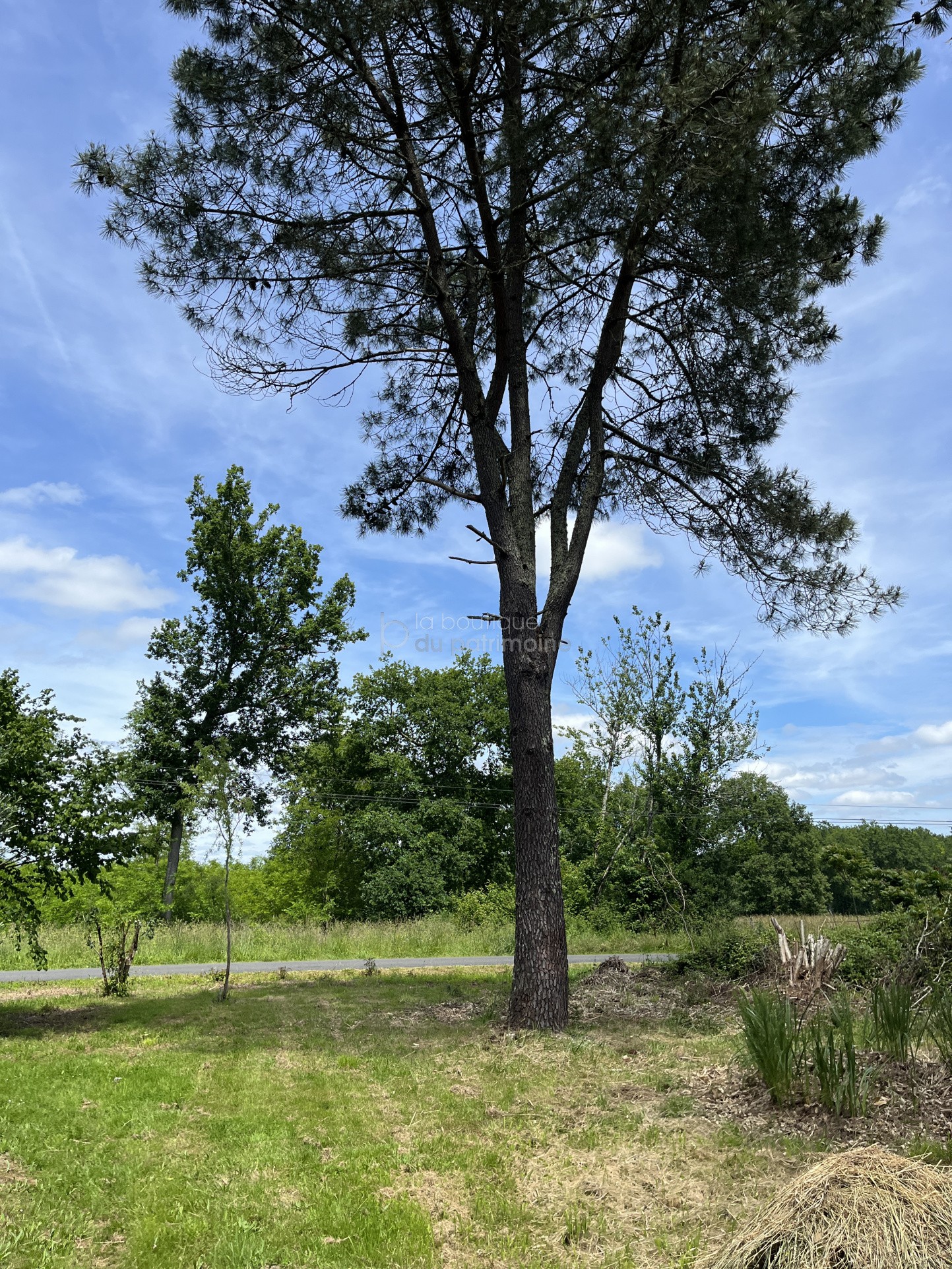 Vente Maison à Bazas 3 pièces