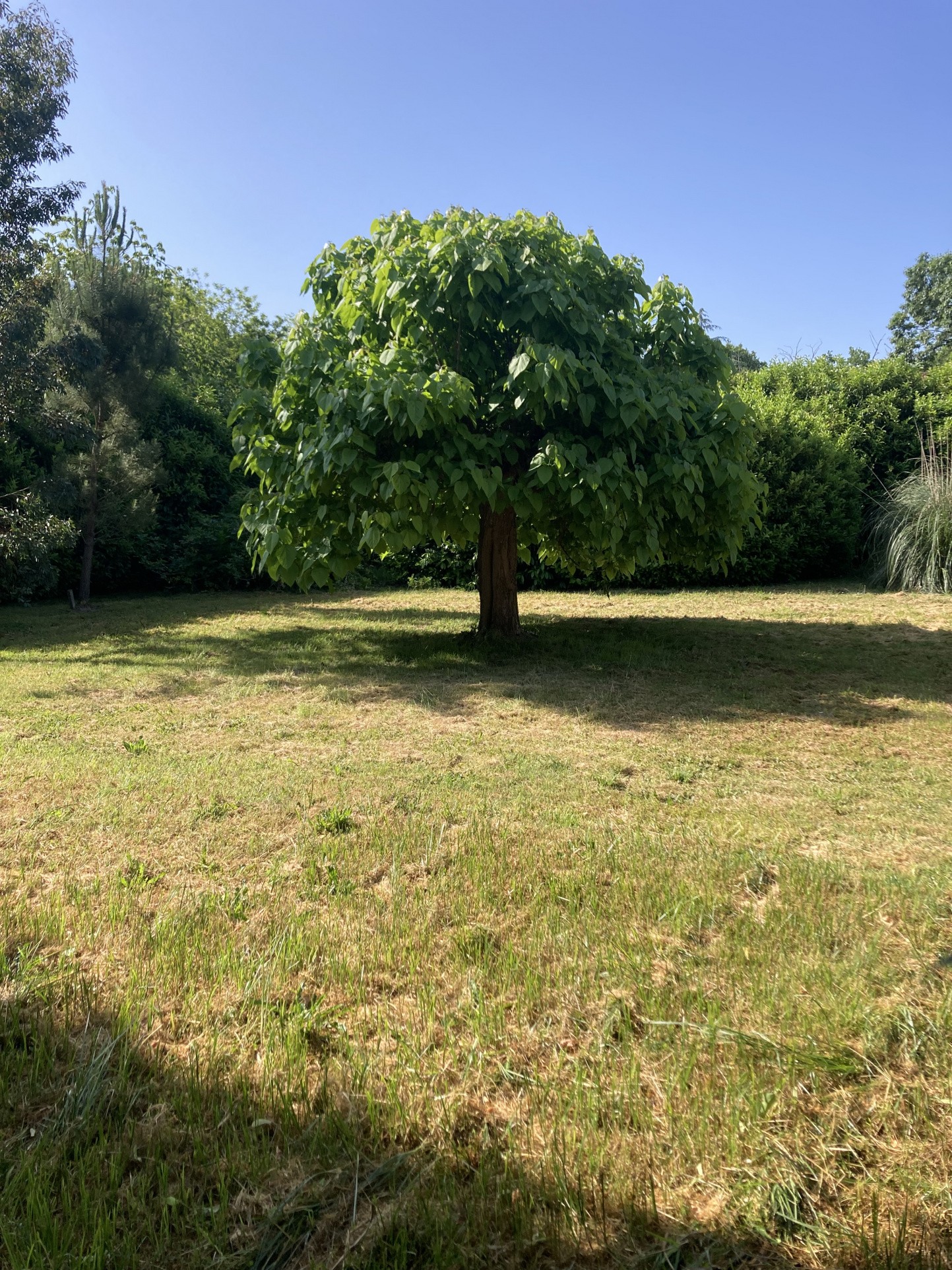 Vente Maison à Bazas 5 pièces