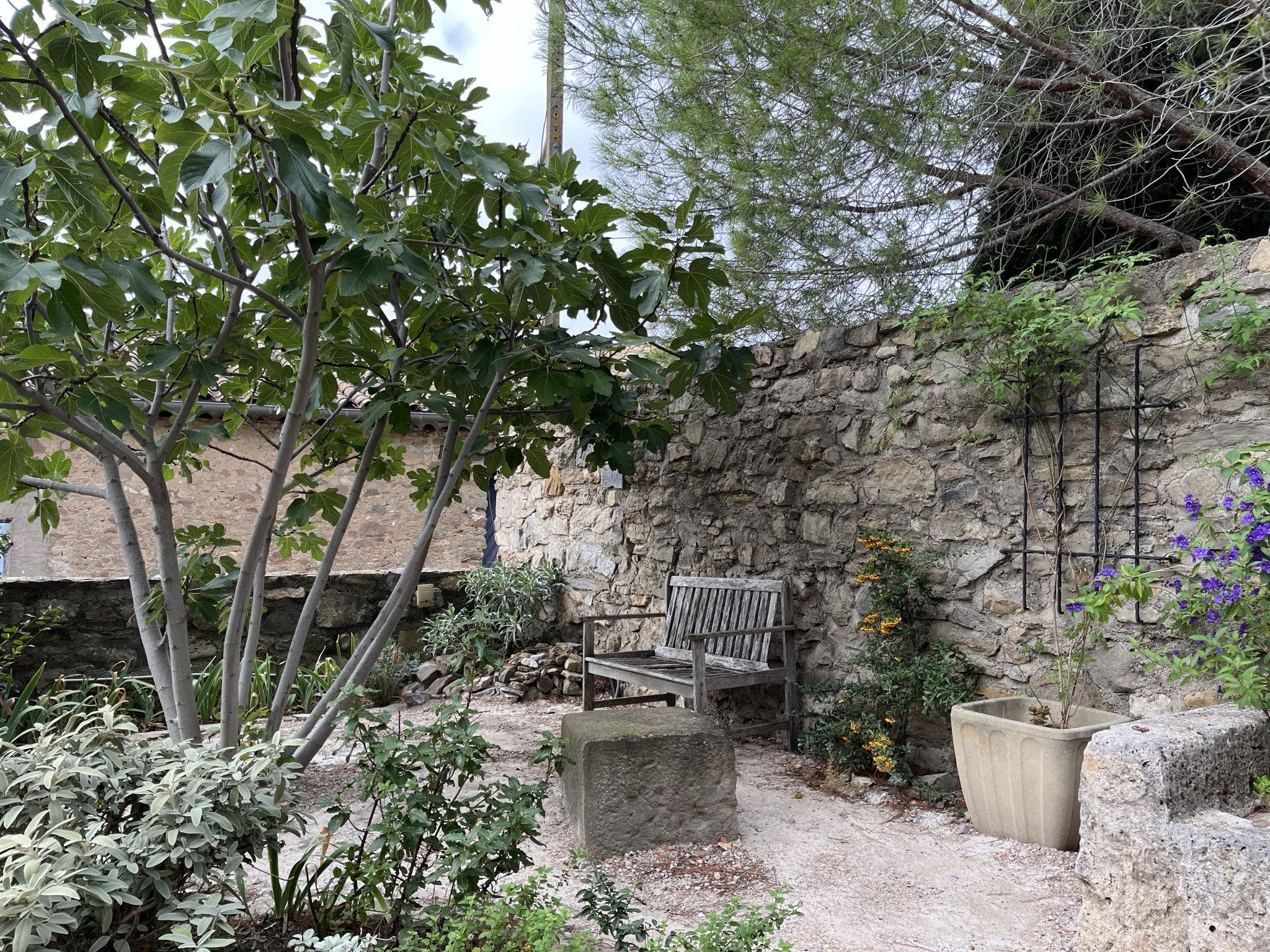 Vente Maison à Argens-Minervois 3 pièces