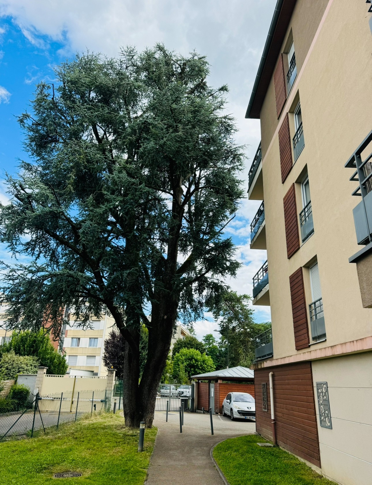 Vente Appartement à Montluel 3 pièces