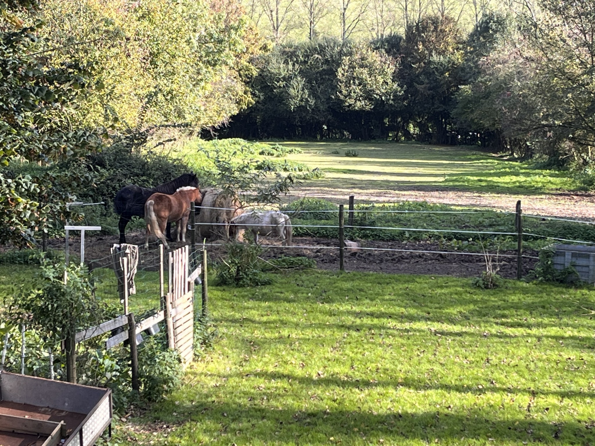 Vente Maison à Rimboval 3 pièces