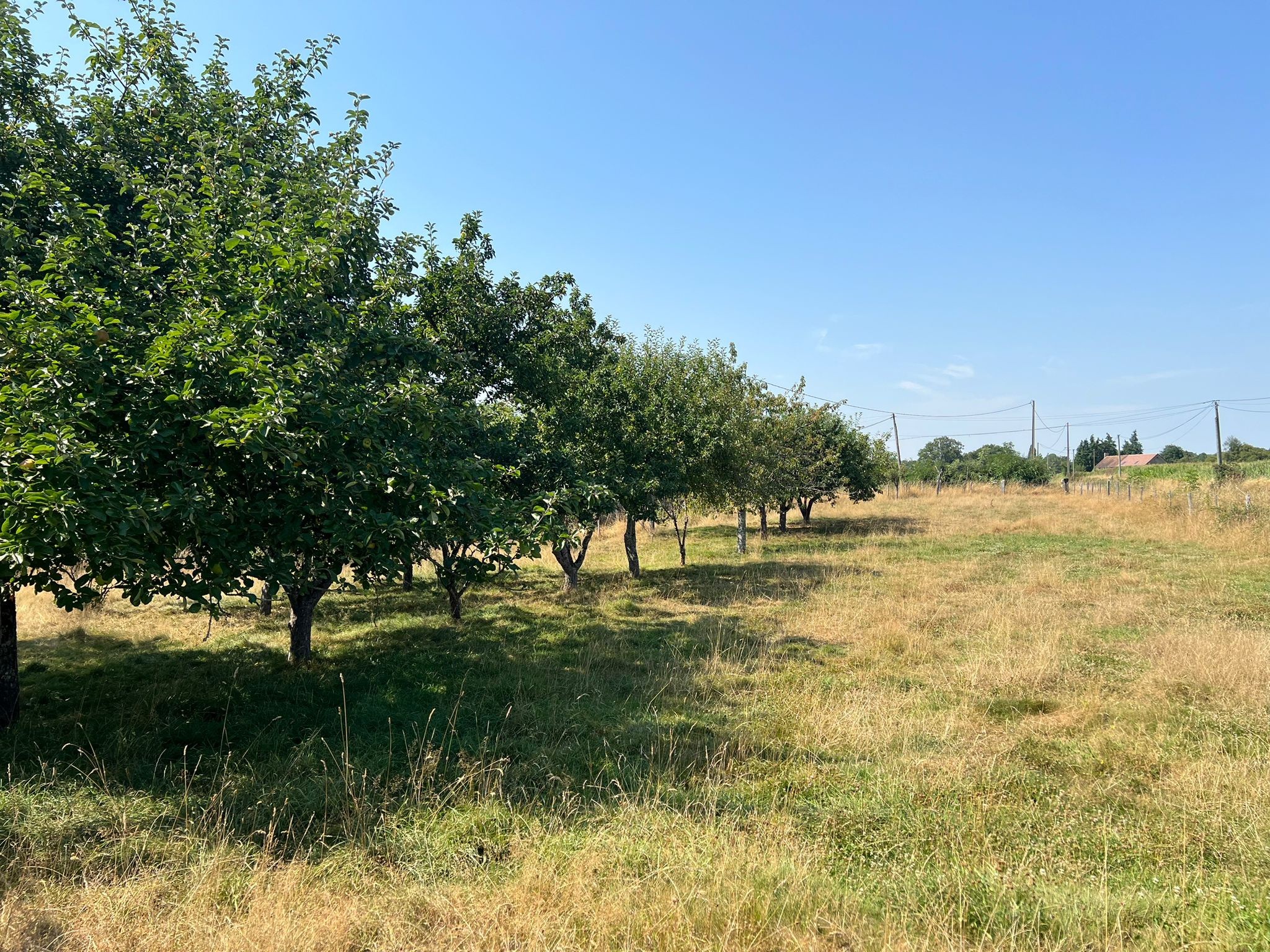 Vente Maison à Saint-Pierre-des-Nids 4 pièces