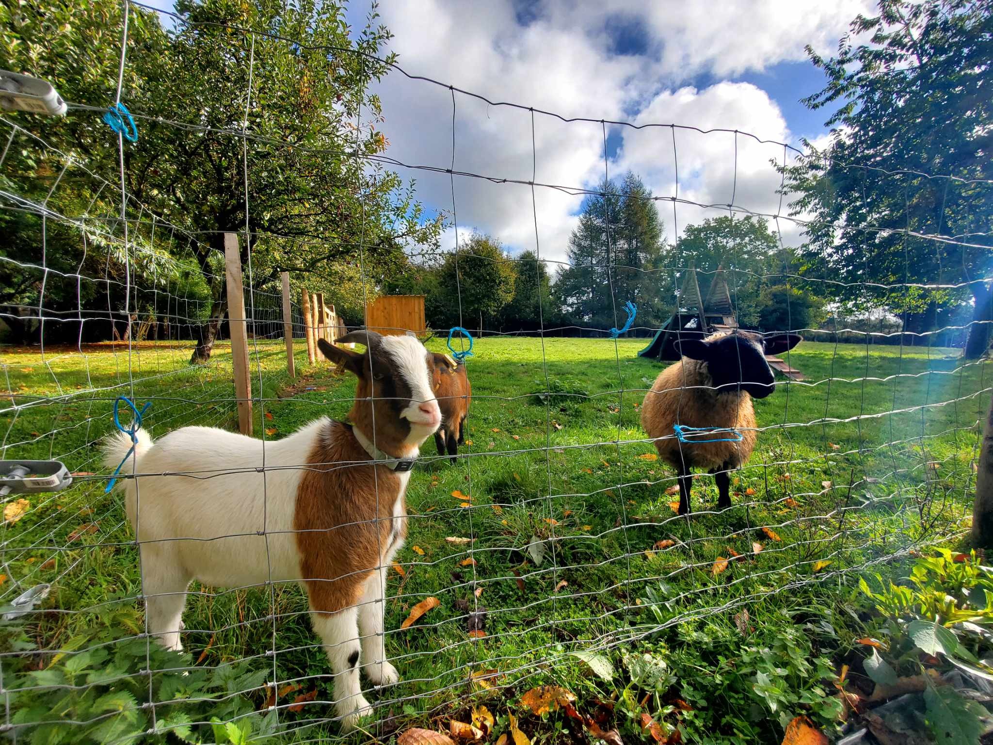 Vente Maison à Saint-Pierre-des-Nids 8 pièces