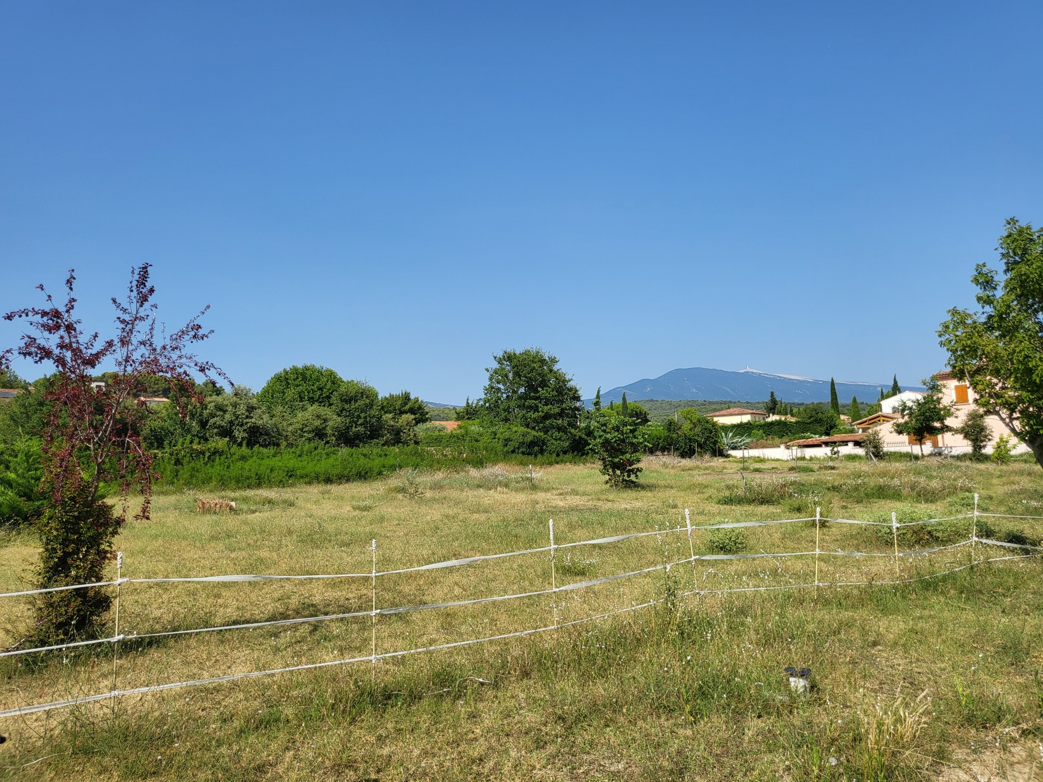 Vente Terrain à Caromb 0 pièce