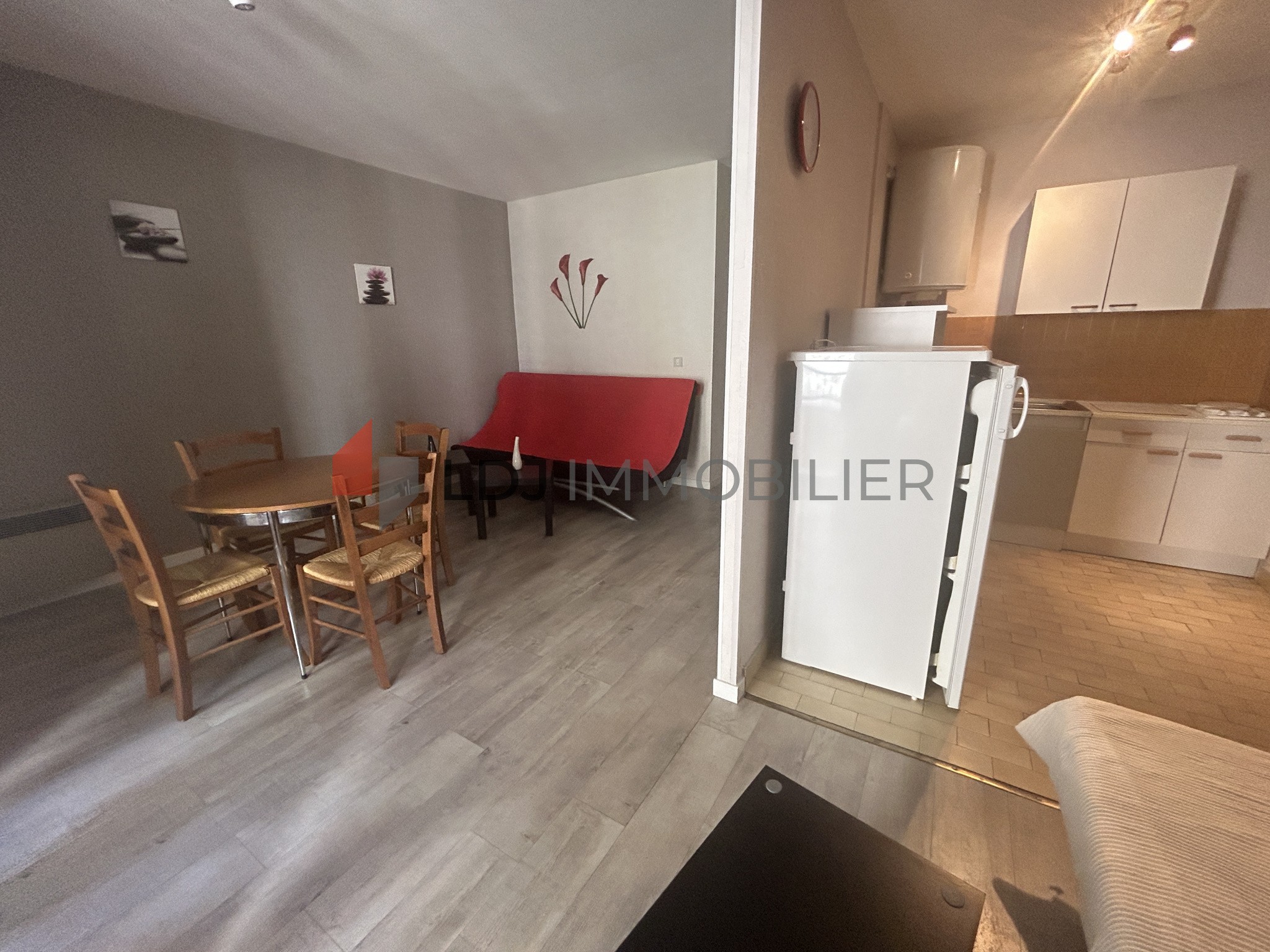 Vente Appartement à Amélie-les-Bains-Palalda 1 pièce