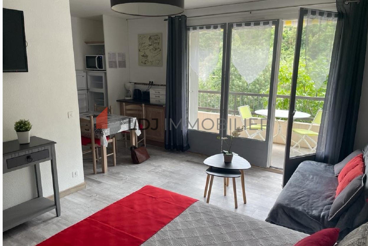 Vente Appartement à Amélie-les-Bains-Palalda 1 pièce