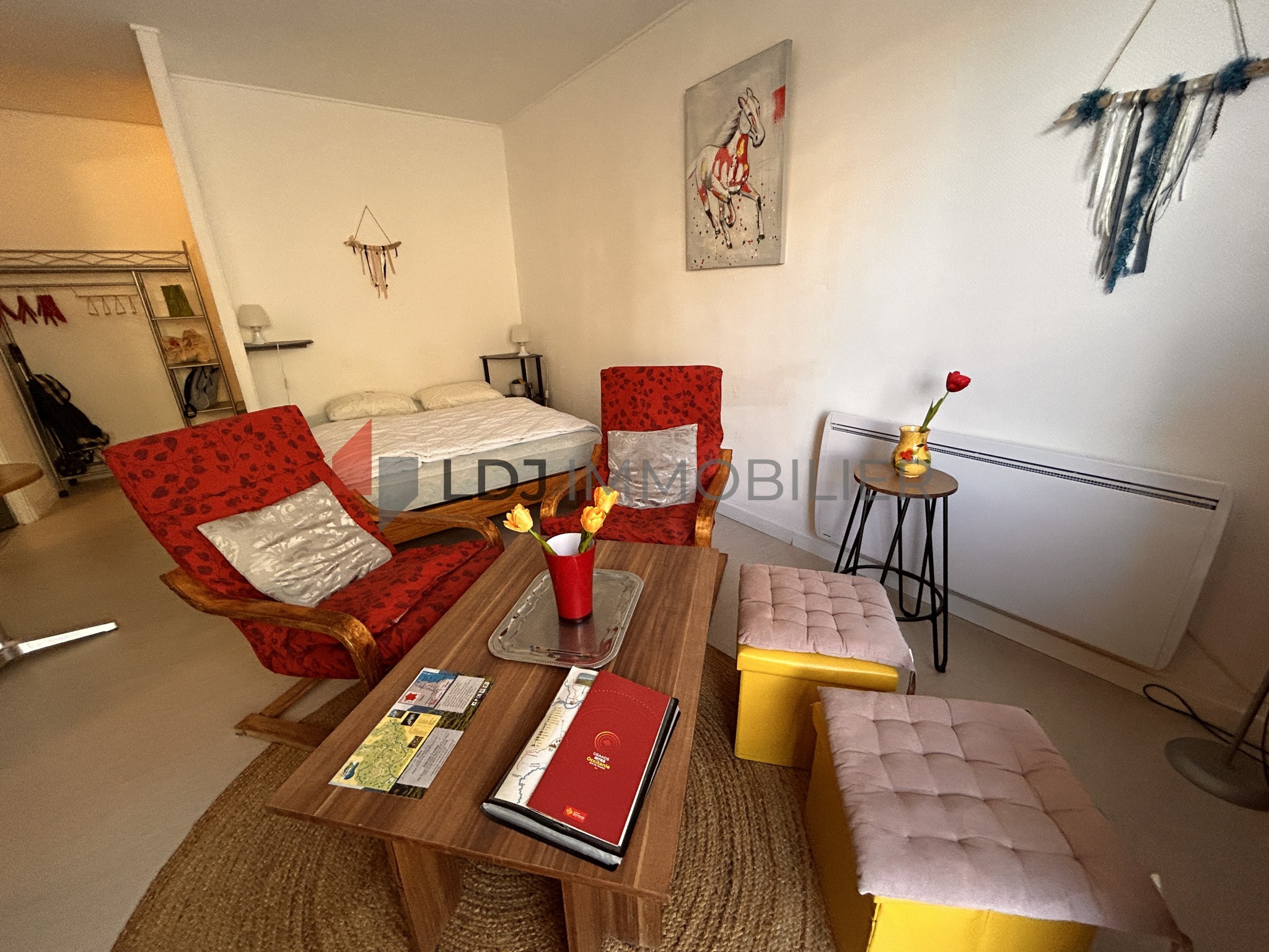 Vente Appartement à Amélie-les-Bains-Palalda 1 pièce