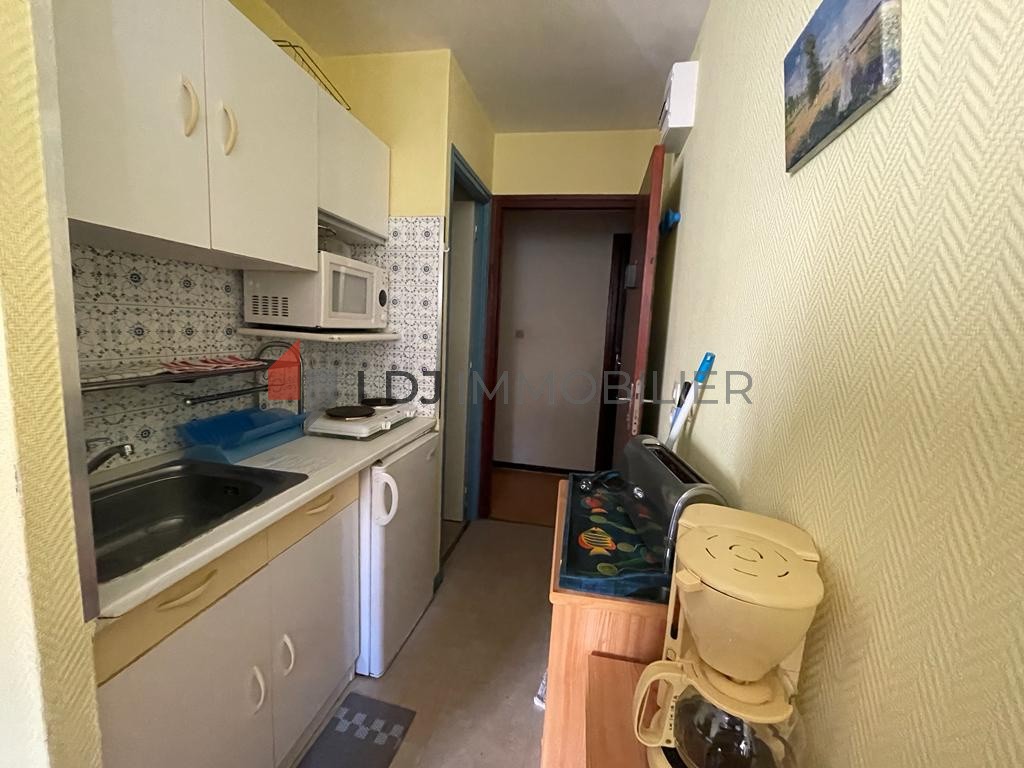 Vente Appartement à Amélie-les-Bains-Palalda 1 pièce