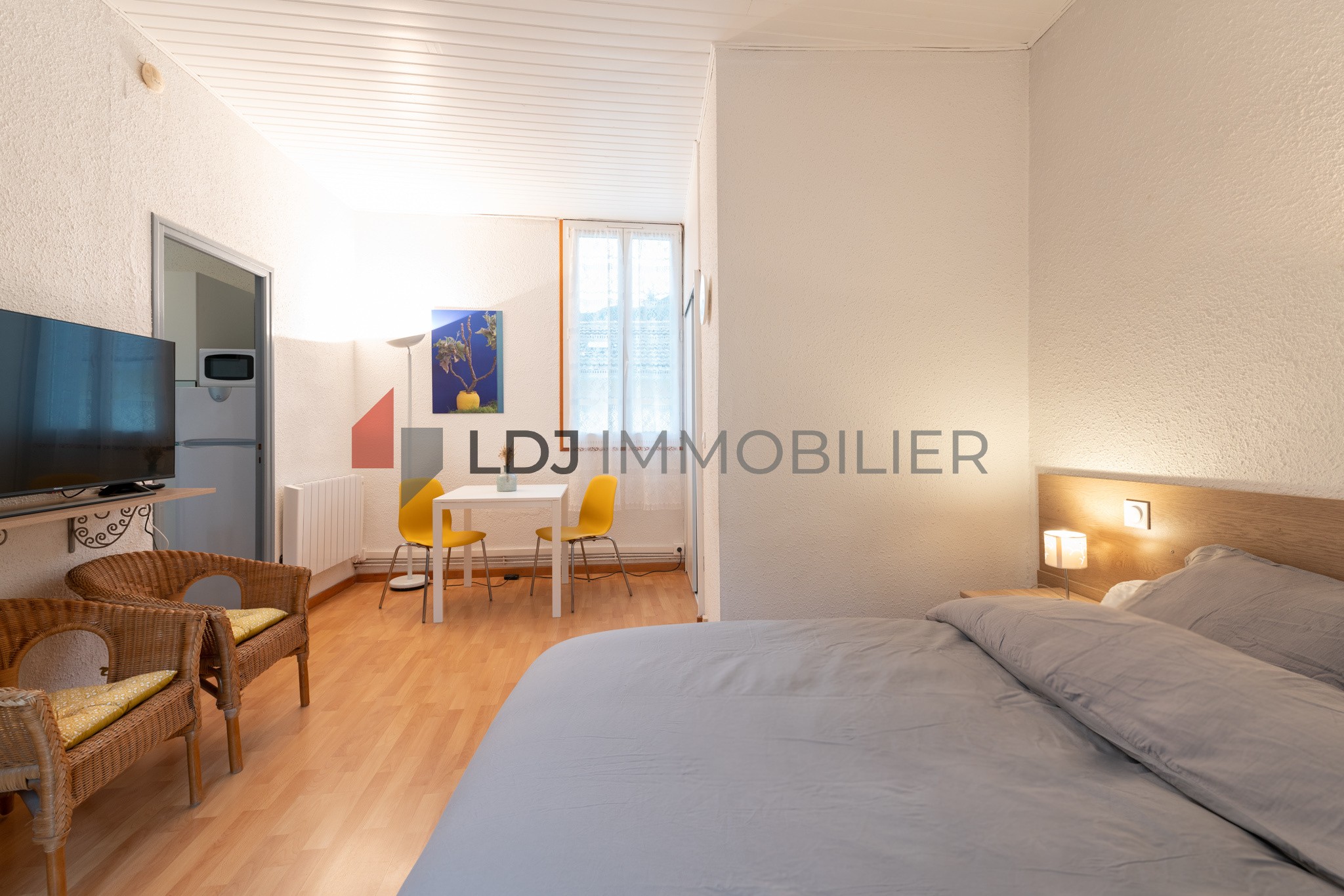 Location Appartement à Amélie-les-Bains-Palalda 1 pièce