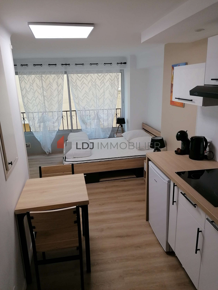 Location Appartement à Amélie-les-Bains-Palalda 1 pièce