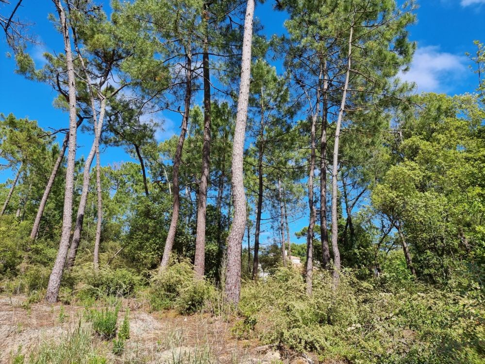 Vente Terrain à Saint-Jean-de-Monts 0 pièce