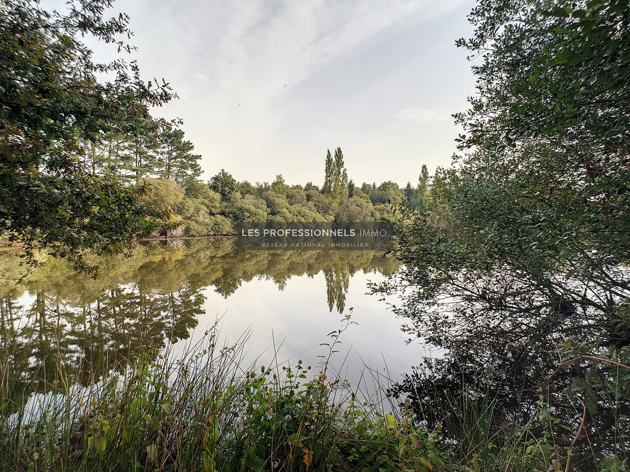 Vente Maison à Missillac 15 pièces