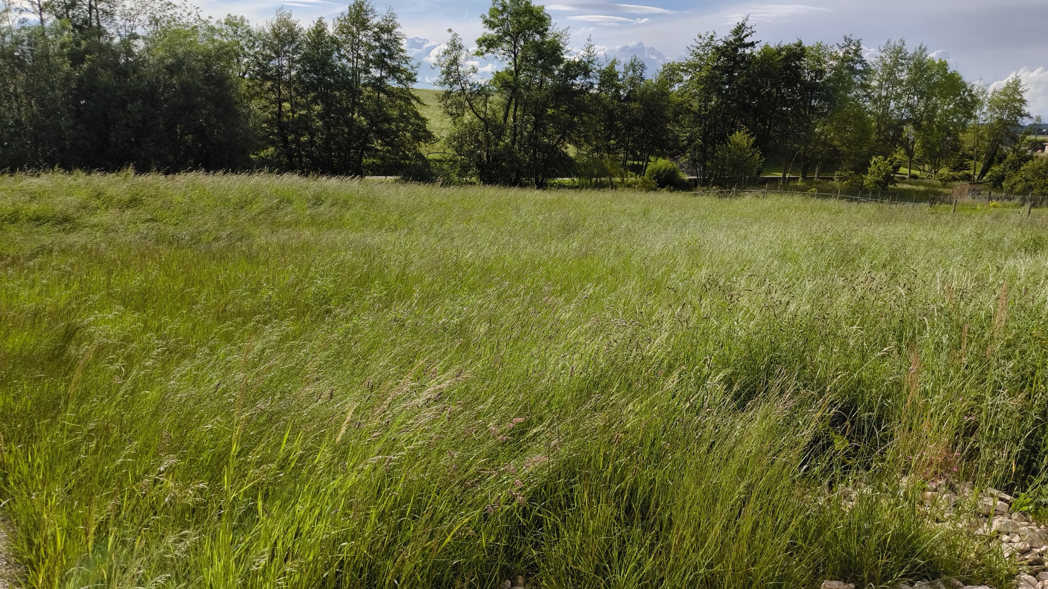 Vente Terrain à Hennecourt 0 pièce