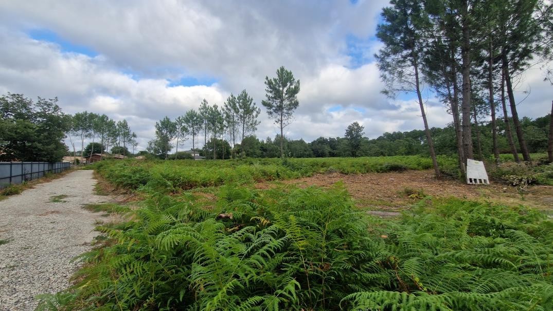 Vente Terrain à le Teich 0 pièce