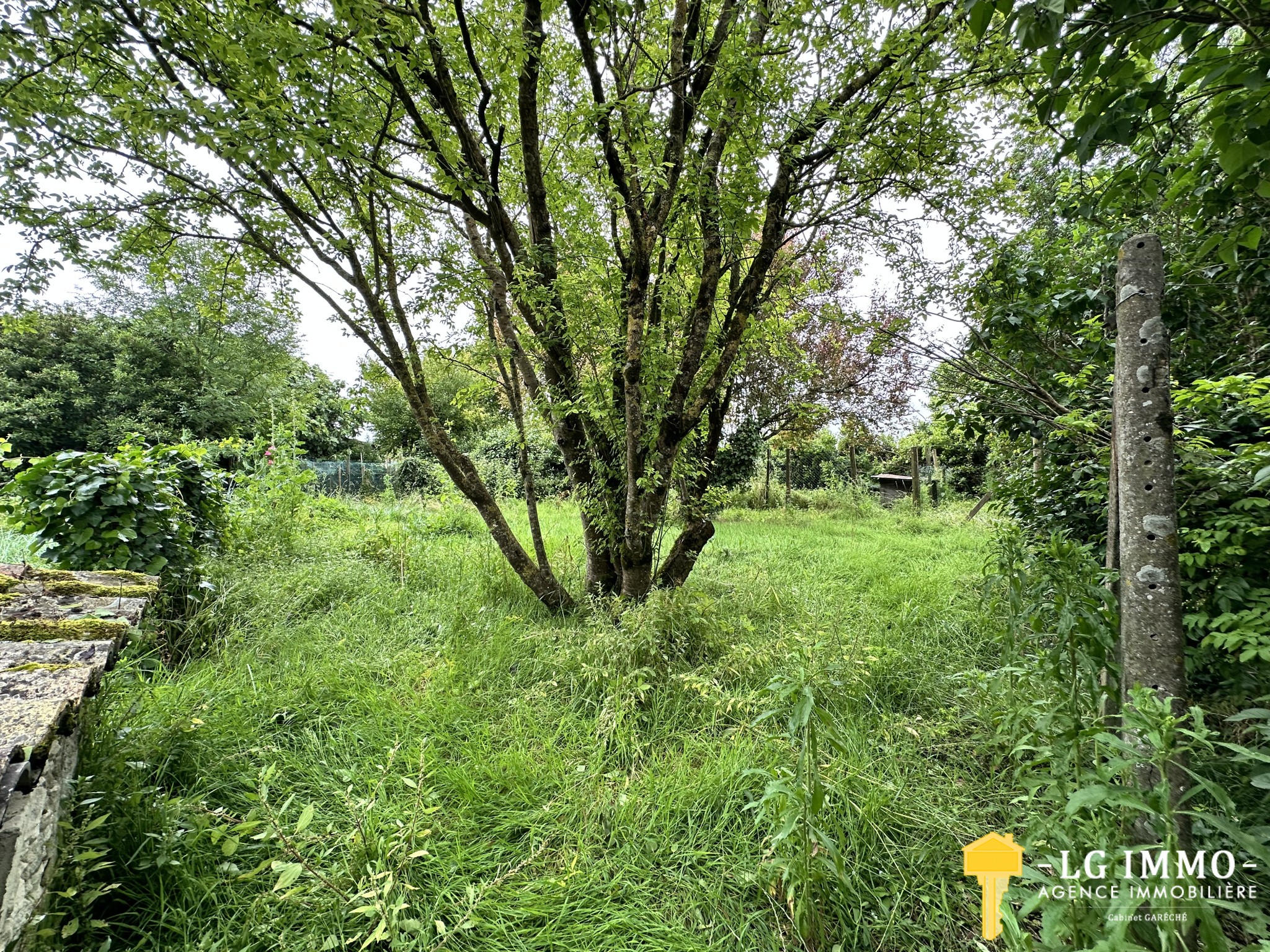 Vente Maison à Mortagne-sur-Gironde 3 pièces