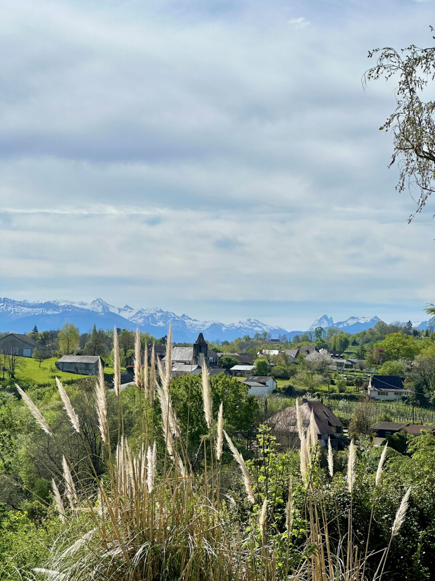 Vente Maison à Pau 8 pièces