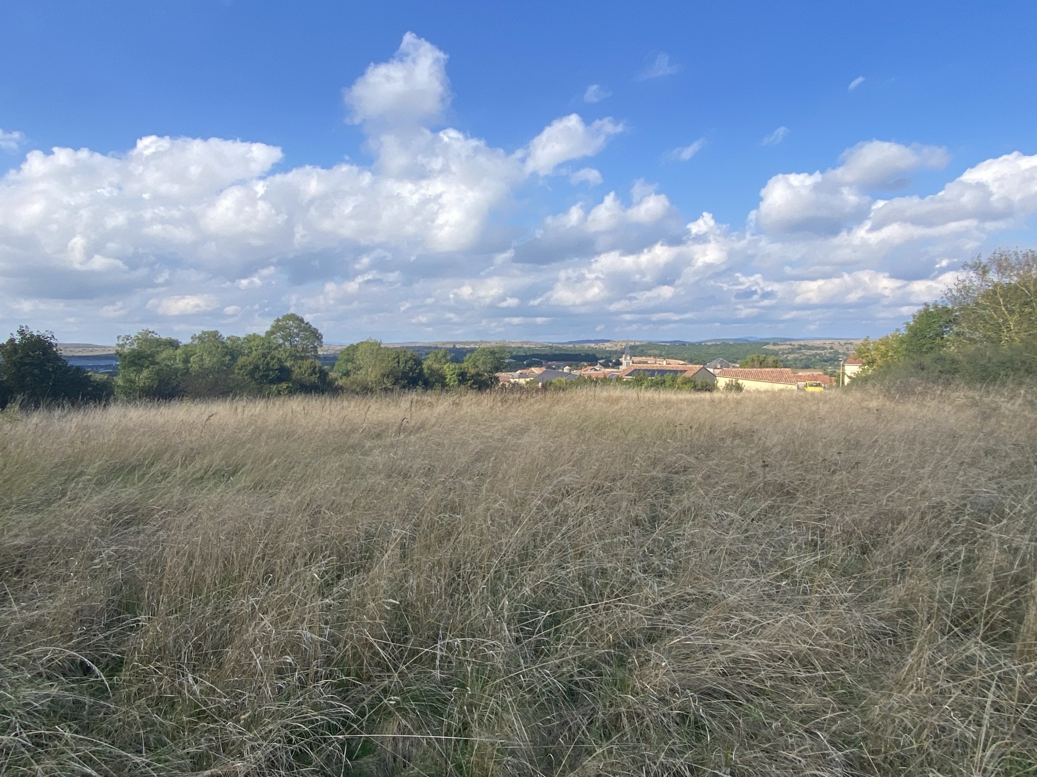 Vente Terrain à la Cavalerie 0 pièce