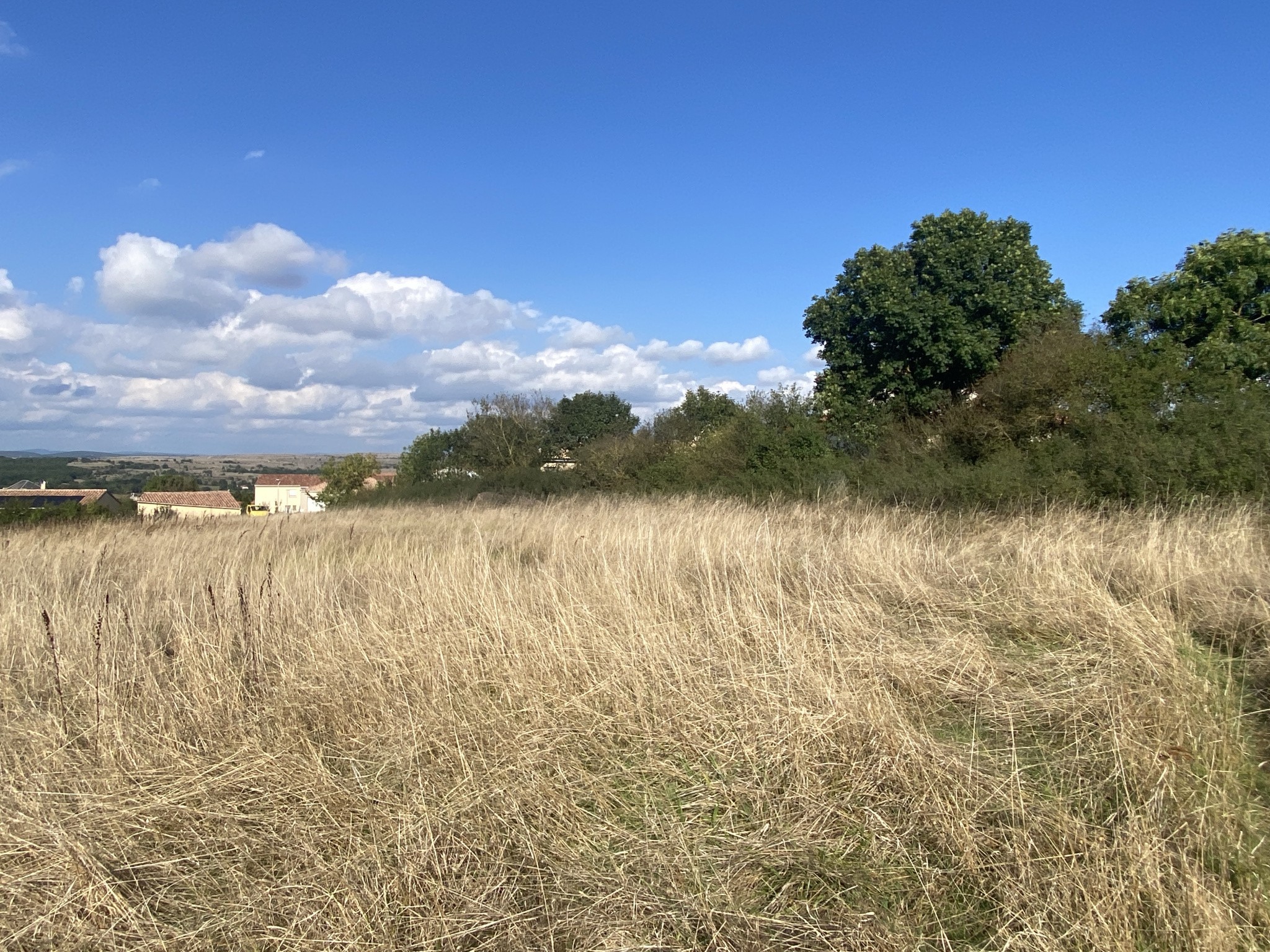 Vente Terrain à la Cavalerie 0 pièce