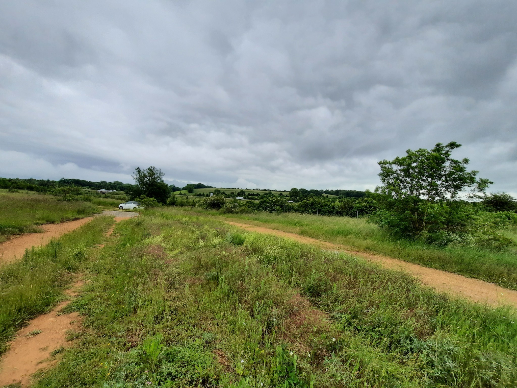 Vente Terrain à la Cavalerie 0 pièce