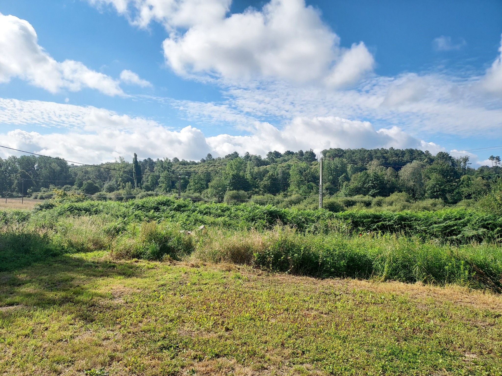 Vente Maison à Bourgueil 5 pièces