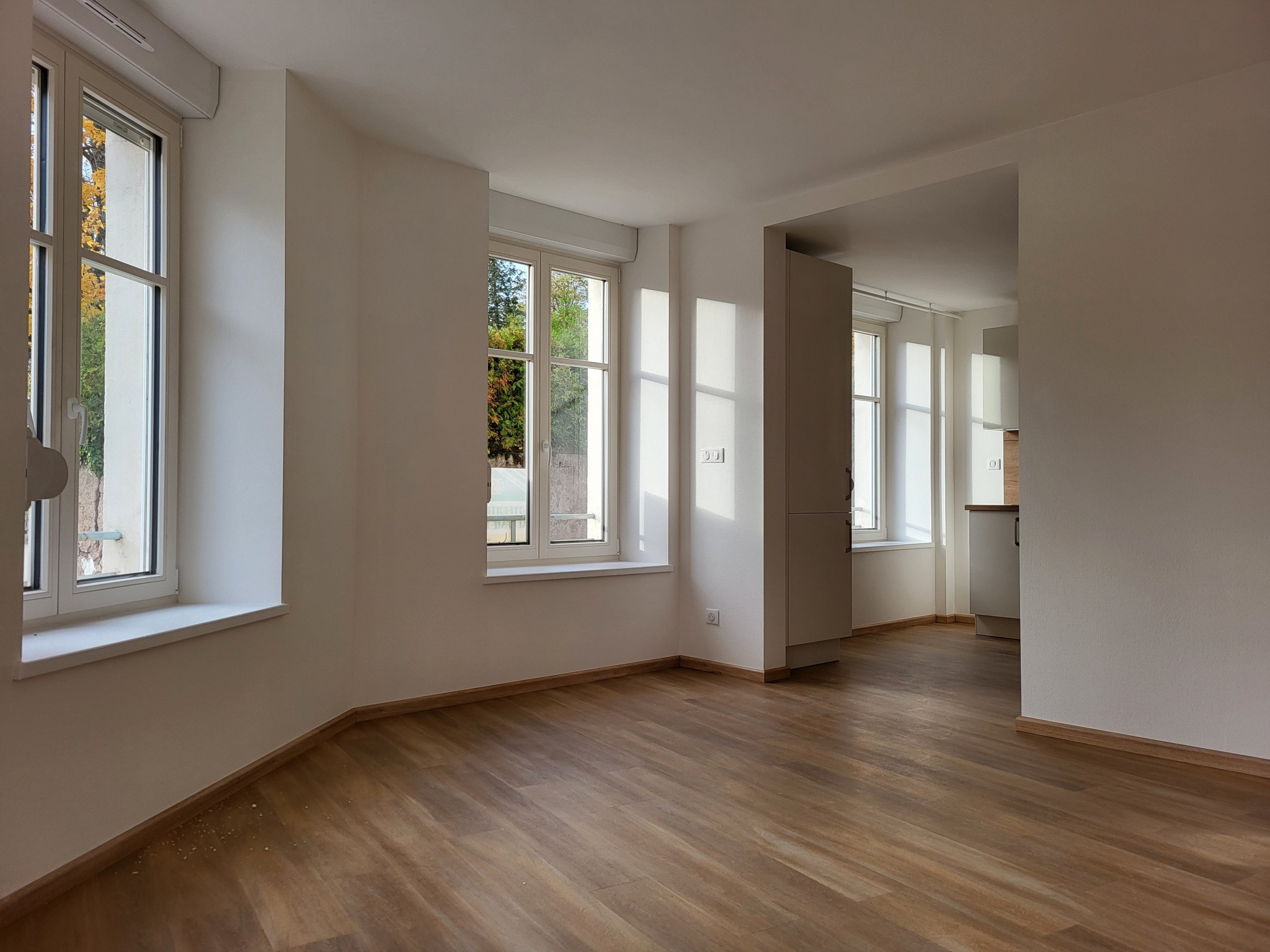 Location Appartement à Saint-Dié-des-Vosges 4 pièces