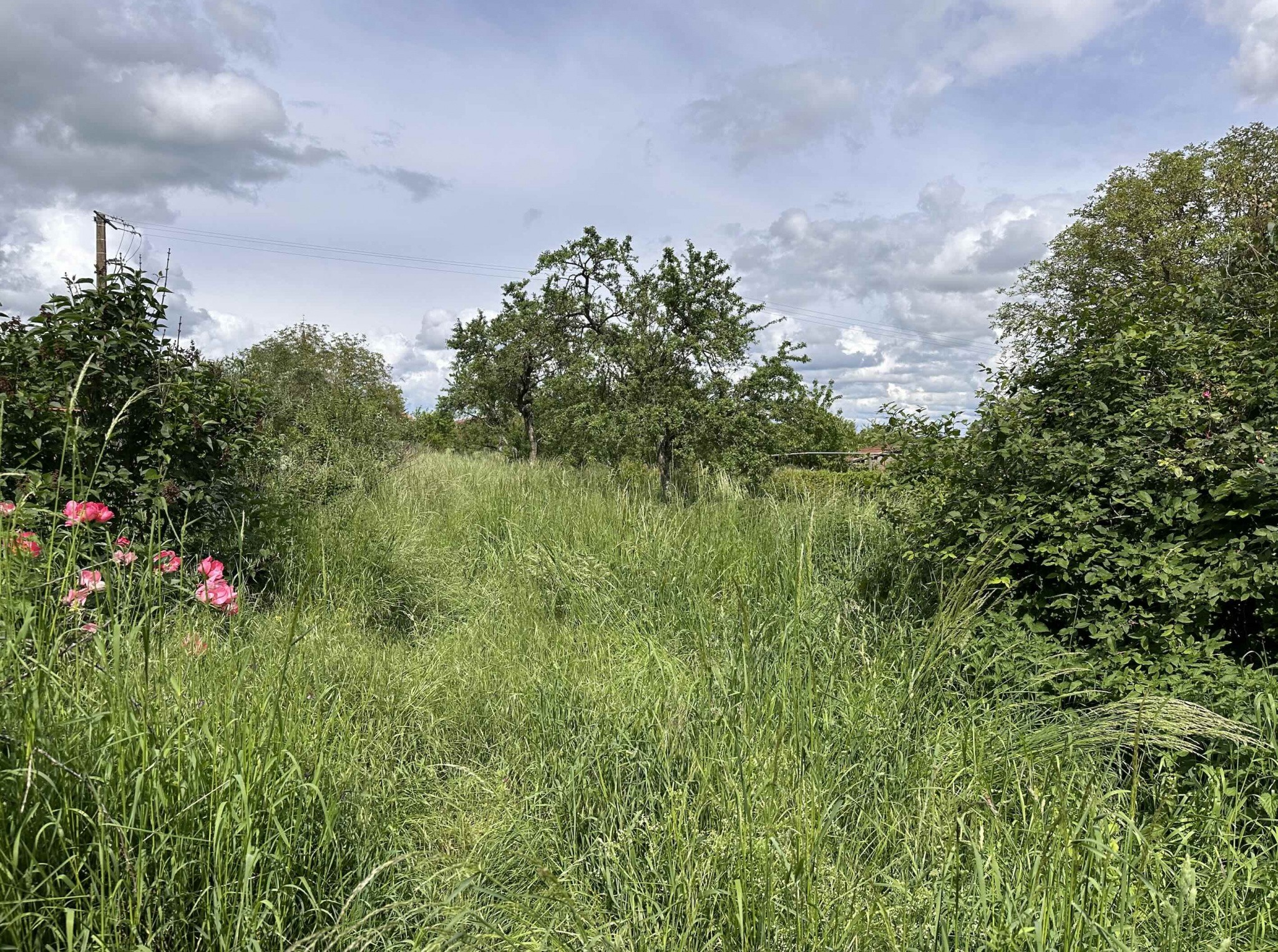 Vente Maison à Biécourt 4 pièces