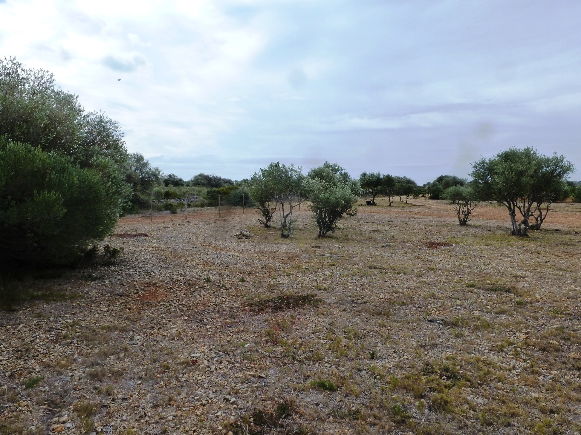 Vente Terrain à Fitou 0 pièce