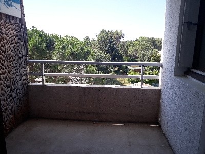 Location Appartement à Montpellier 2 pièces