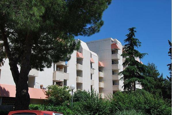 Location Appartement à Montpellier 1 pièce