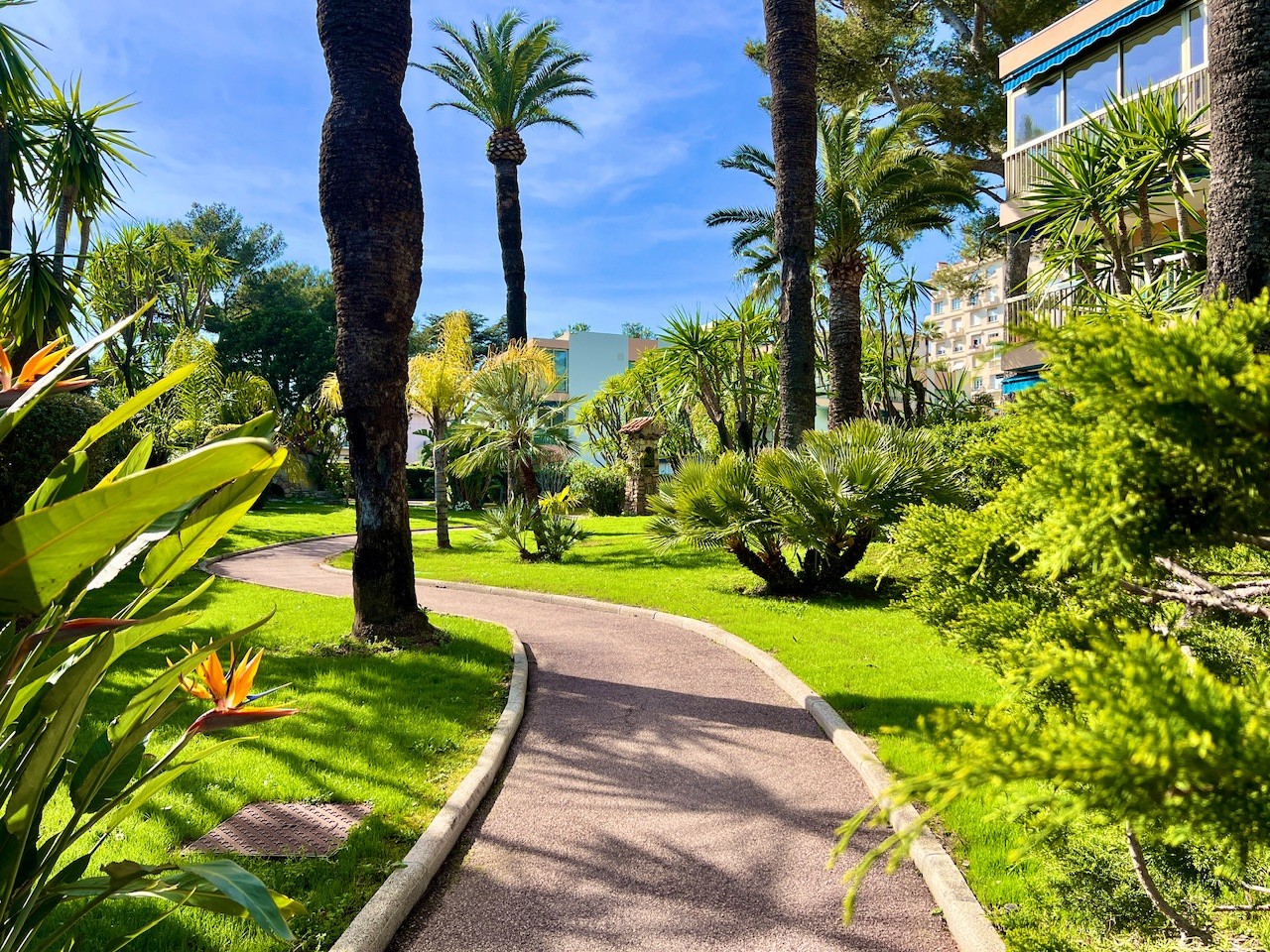 Vente Appartement à Cannes 1 pièce