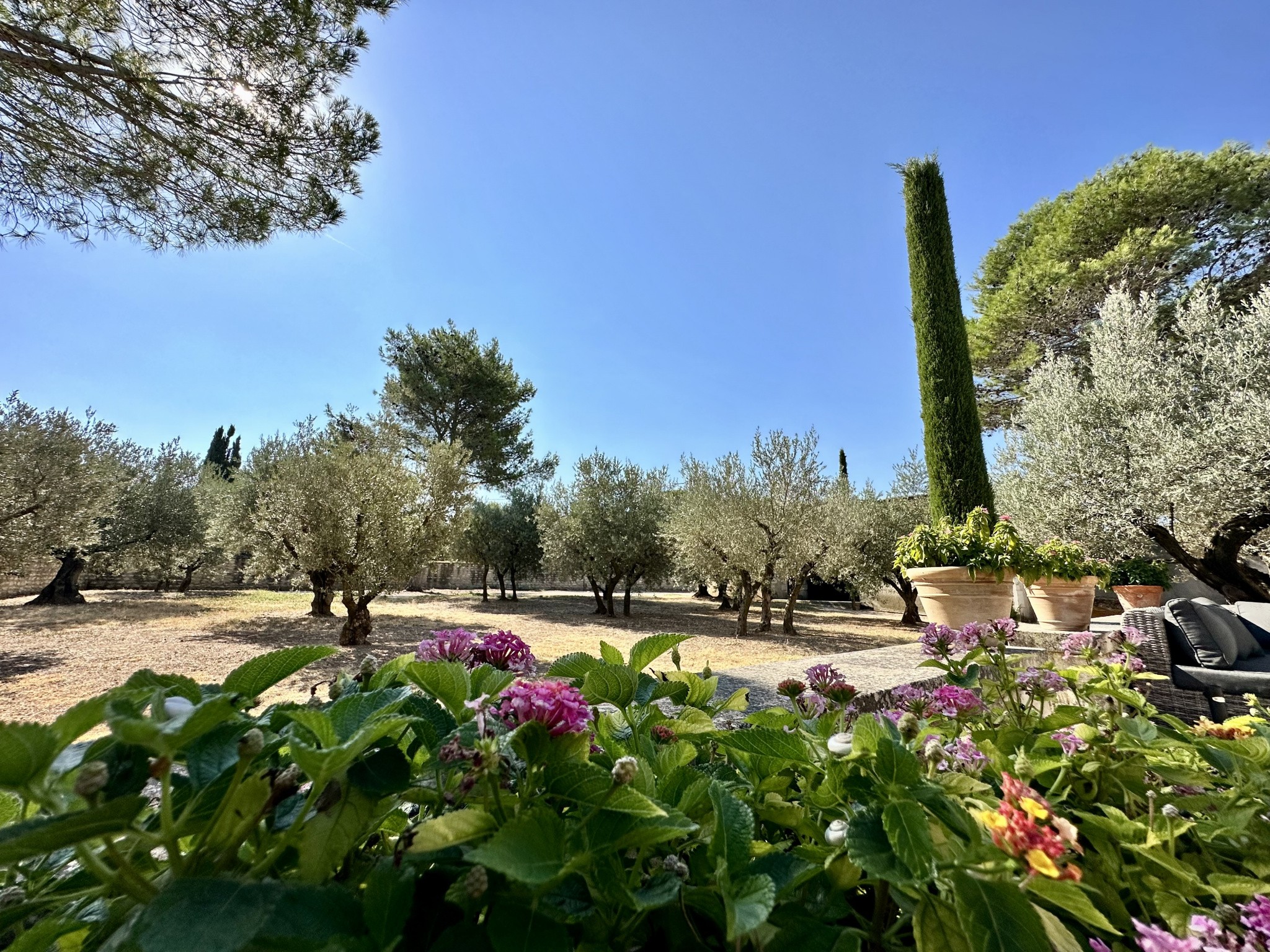 Vente Maison à Saint-Rémy-de-Provence 5 pièces