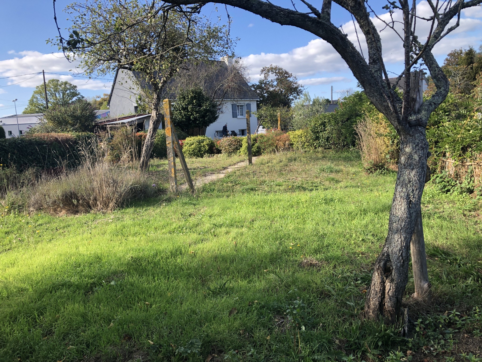 Viager Maison à Bains-sur-Oust 5 pièces