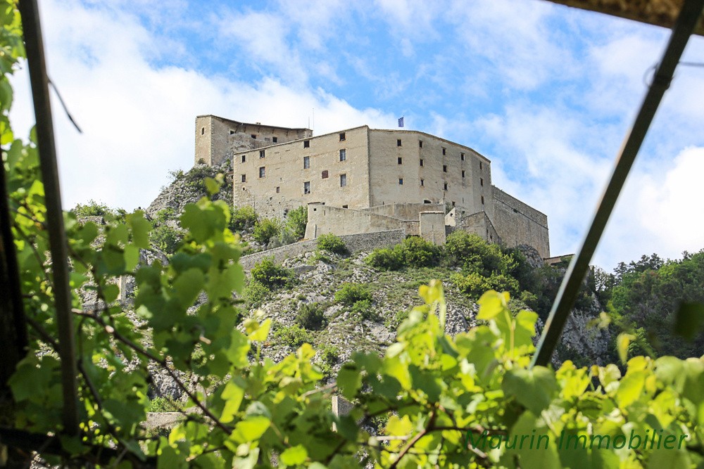 Vente Maison à Entrevaux 4 pièces