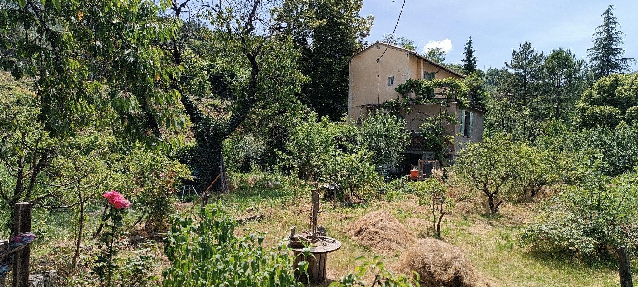 Vente Maison à Entrevaux 4 pièces