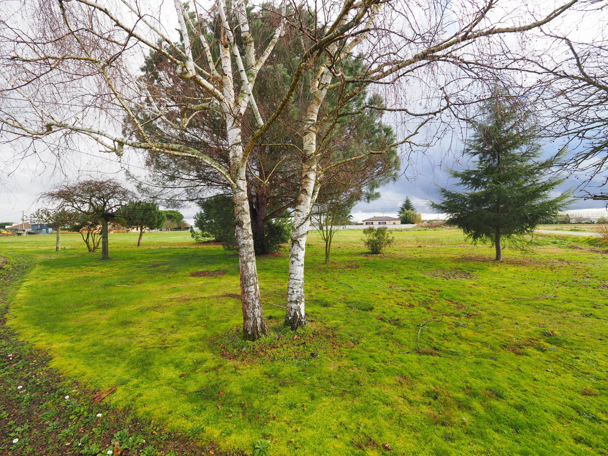 Vente Maison à Sainte-Bazeille 4 pièces