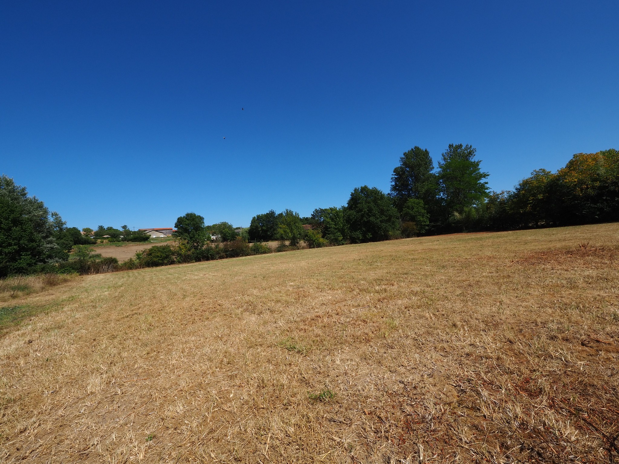 Vente Terrain à Miramont-de-Guyenne 0 pièce