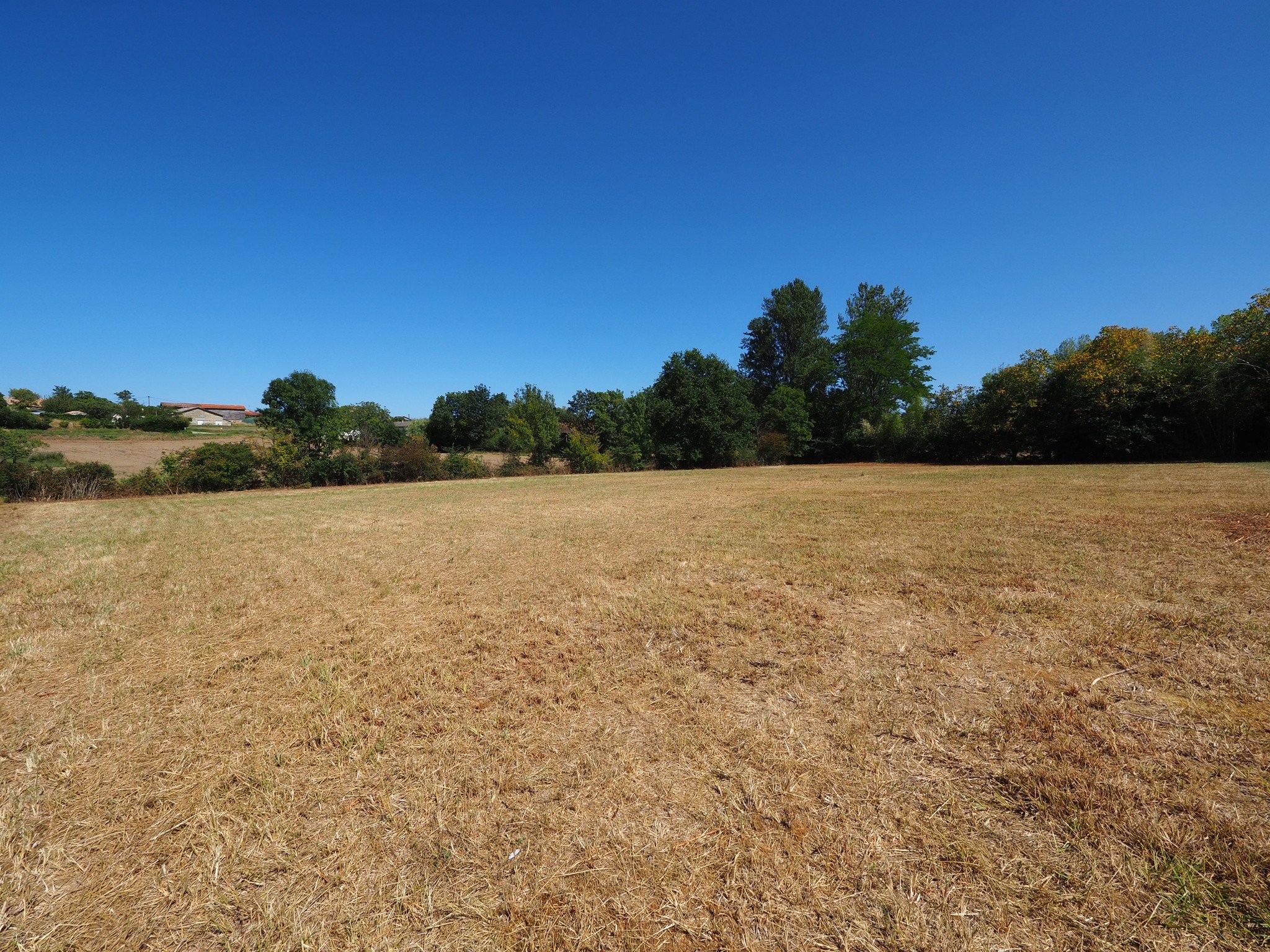 Vente Terrain à Miramont-de-Guyenne 0 pièce